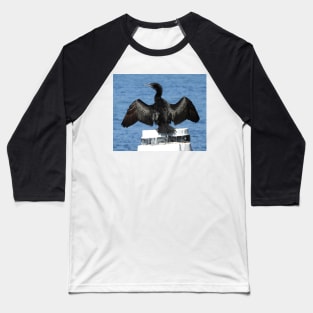 Little Black Cormorant Baseball T-Shirt